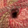 208 sea anemone