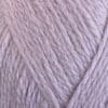 2568 crocus