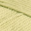 019 pistachio