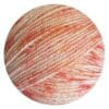 6221 quiet coral
