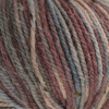 6251 damson