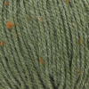 6234 fern
