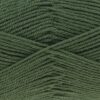 3581 leaf