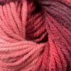 ac09 raspberry delight