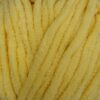 5704 chick yellow