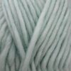 5577 blue ice